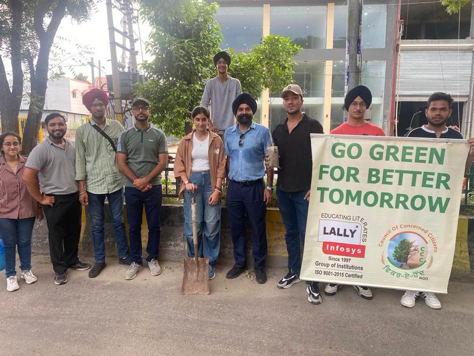 Distributed saplings